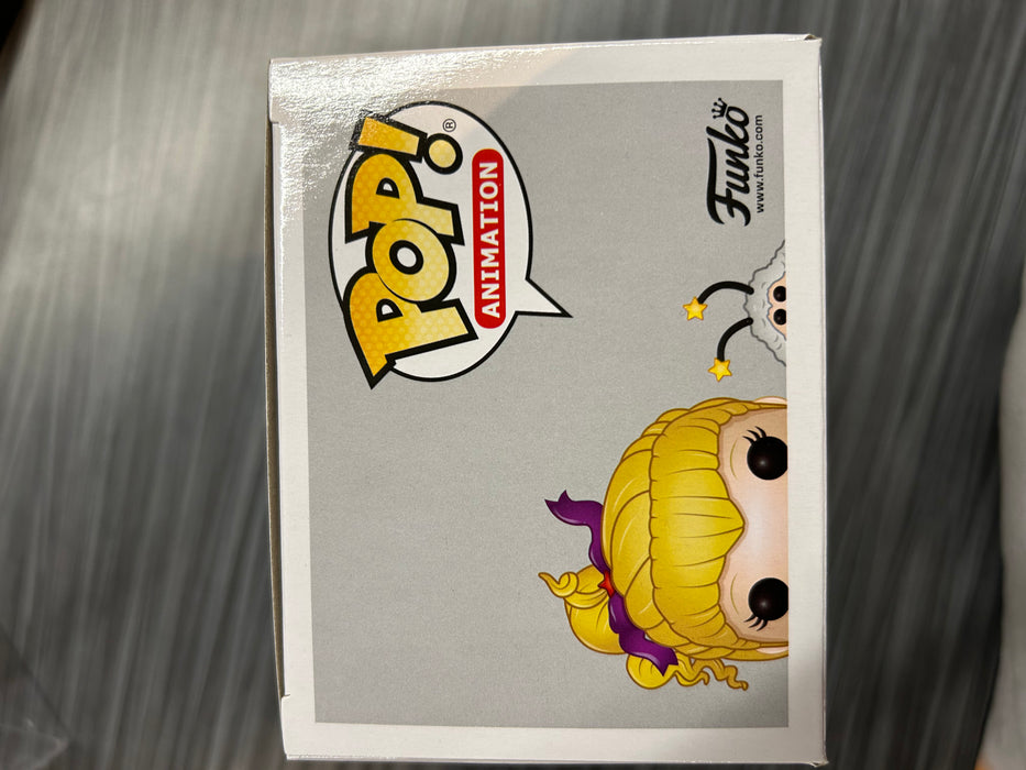 Funko POP! Animation: Rainbow Brite and Twink (Damaged Box) #380