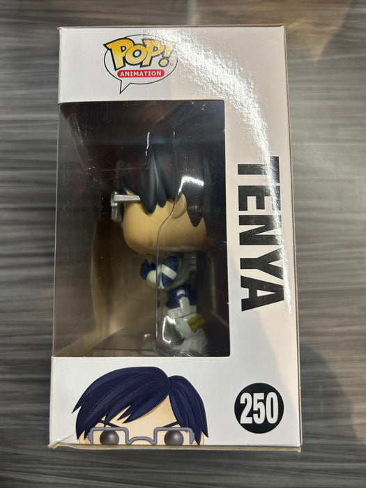 Funko POP! Animation: My Hero Academia - Tenya (Damaged Box) #250