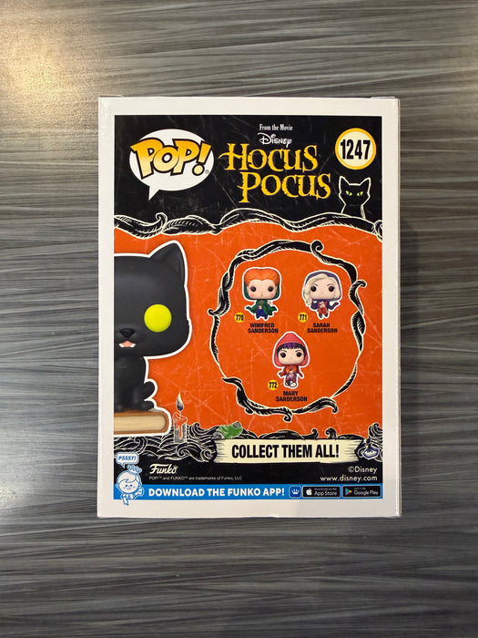 Funko POP! Disney: Hocus Pocus - Thackery Binx (Funko)(Damaged Box) #1247
